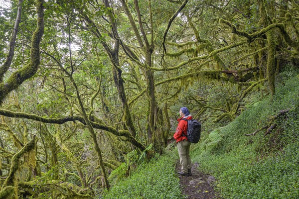 Woman standing in the laurel forest near El Cedro