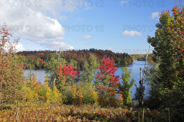 Autumn landscape