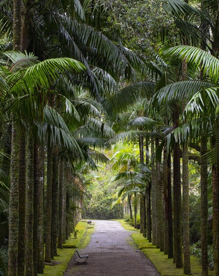 Botanical Garden