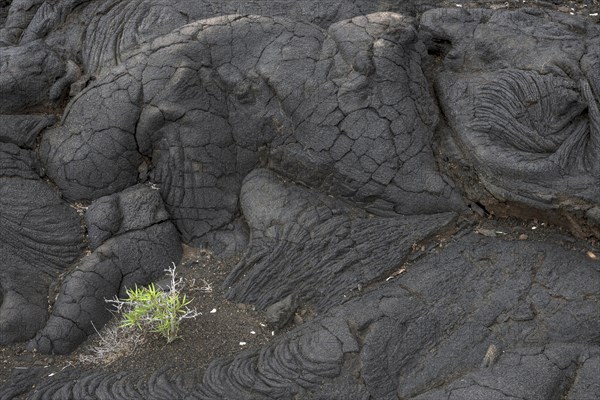 pahoehoe