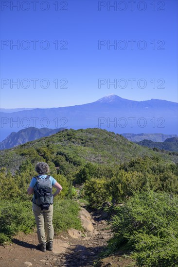 Hiking to the summit of Garajonay with Teide in the background