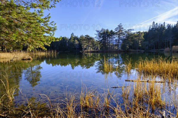 Moeserer See