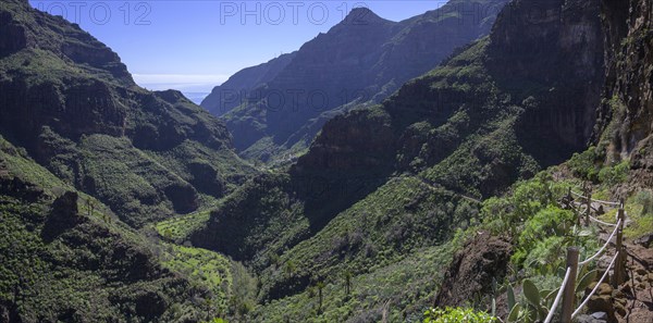 Spectacular trail in Barranco Guarimar