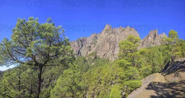 Mirador del Lomo de Tagasaste