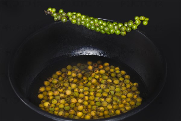 Freshly pickled green black pepper