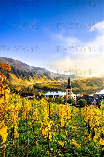 The village of Bremm on the Moselle