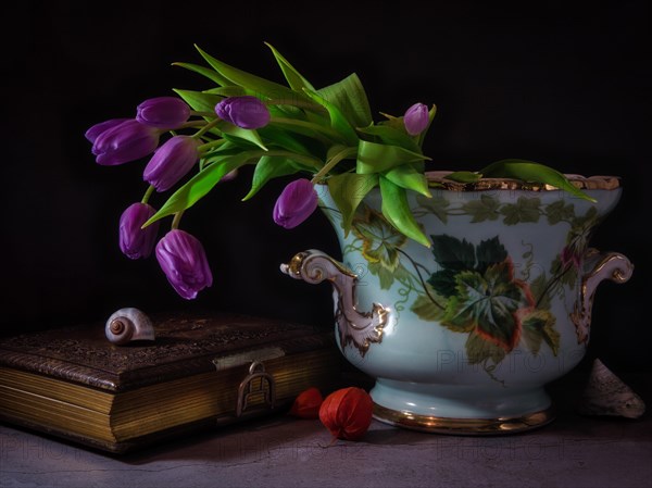 Still life with snail shells