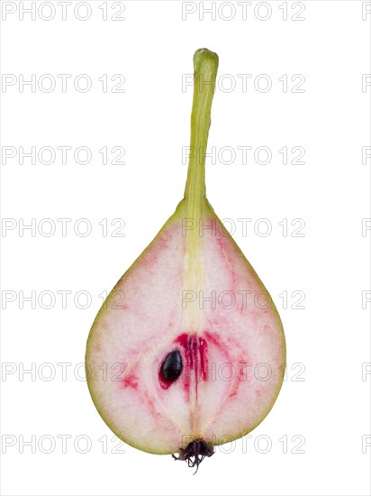 Pear variety Blood pear