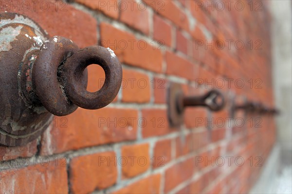 Wall of bricks with metal rings in the slaughterhouse