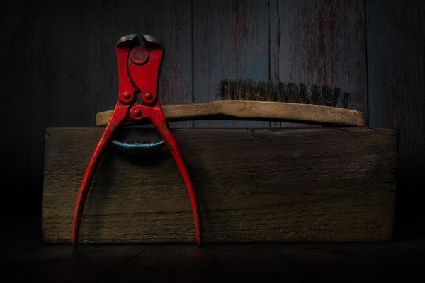 Still Life with Pliers and Wire Brush on Wooden Block