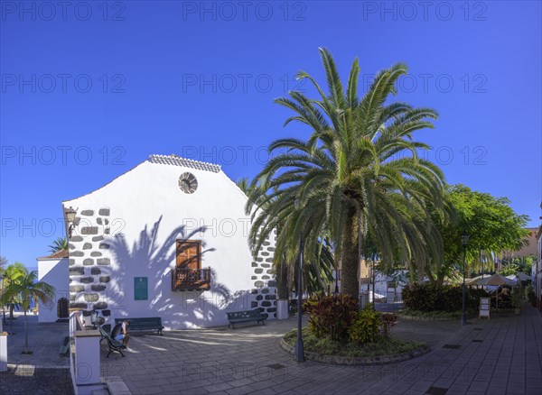 Church square with palm trees