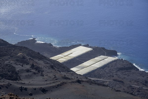 View of banana plantations from Teneguia volcano