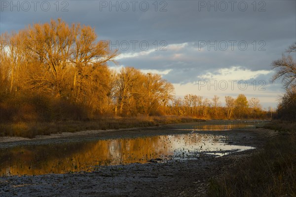 Floodplain landscape