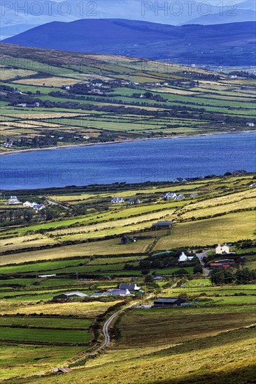 View from Coomanaspig Pass of meadows