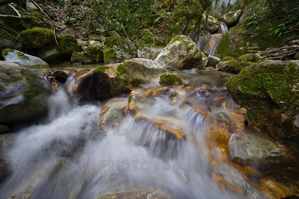 Rio freddo river