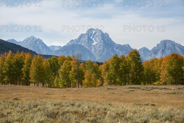 Mountain panorama of the Teton Range