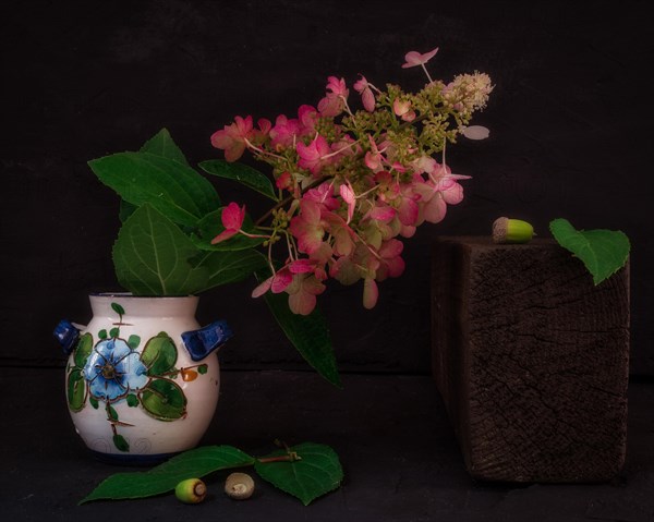 Still Life with Hydrangea Blossom in Colourful Ceramic Vase Next to Wooden Block and Acorns