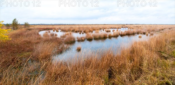 Landscape photograph Stapeler Moor