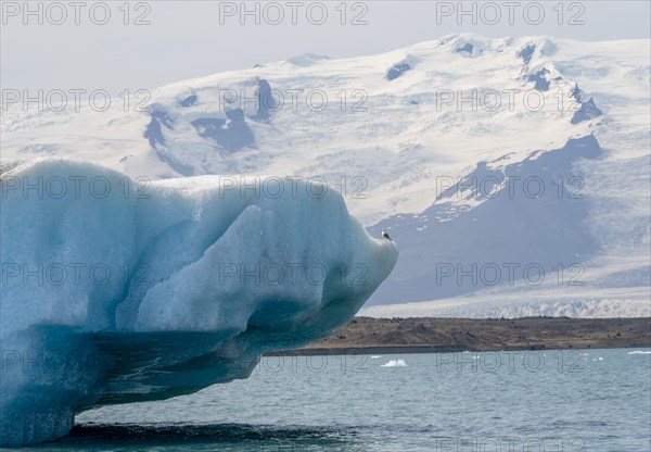 Joekulsarlon ice lagoon