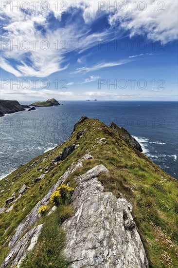 Cliffs with view of the Skellig Islands on the horizon