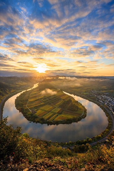 View over the Moselle valley