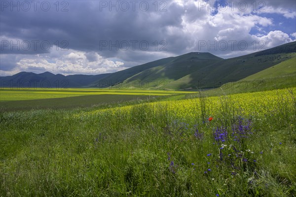 Pan Grande plateau in the Monti Sibillini National Park