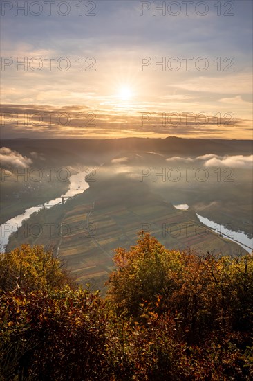 View over the Moselle valley near Bremm in the morning in autumn