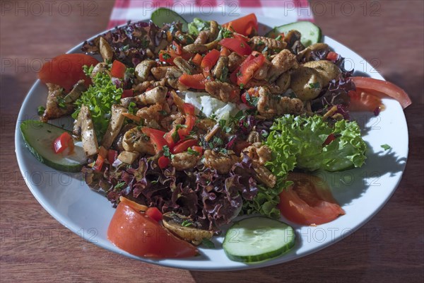 Salad with roasted turkey strips and fresh mushrooms served in a garden restaurant