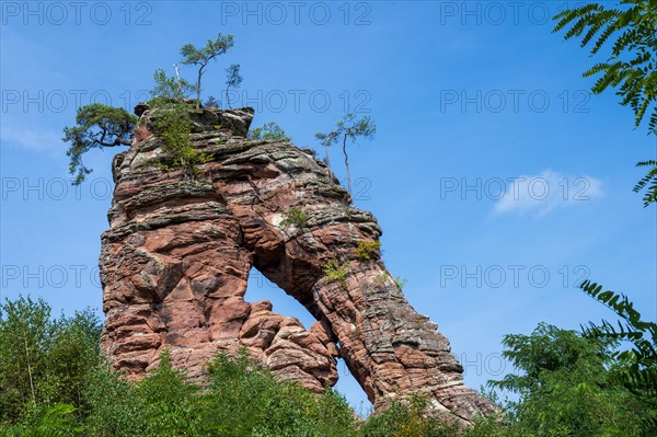 Schillerfelsen