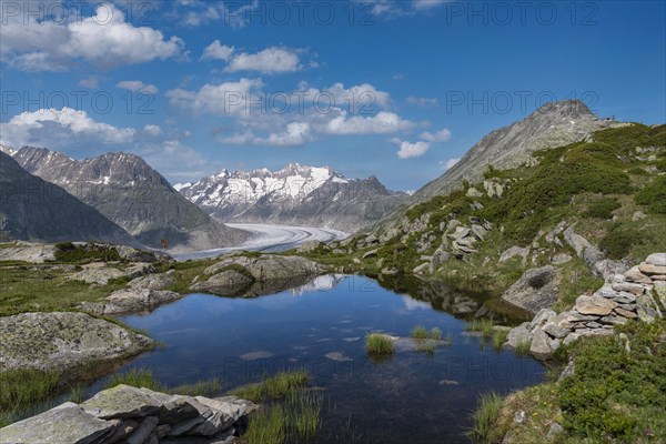 Small mountain lake with Bettmerhorn