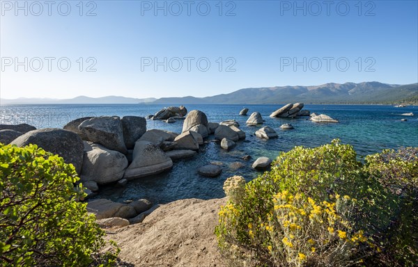 Round stones in the water