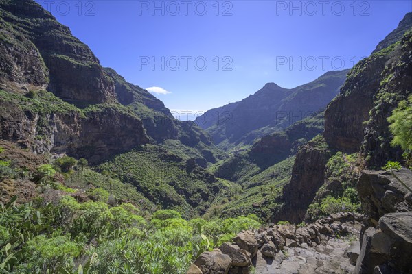 Spectacular trail in Barranco Guarimar