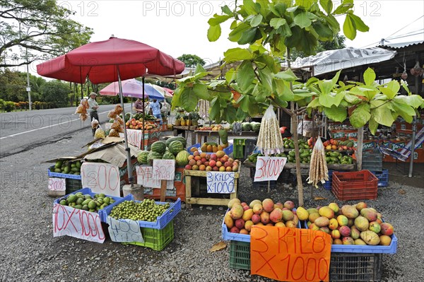 Street vending of fruit