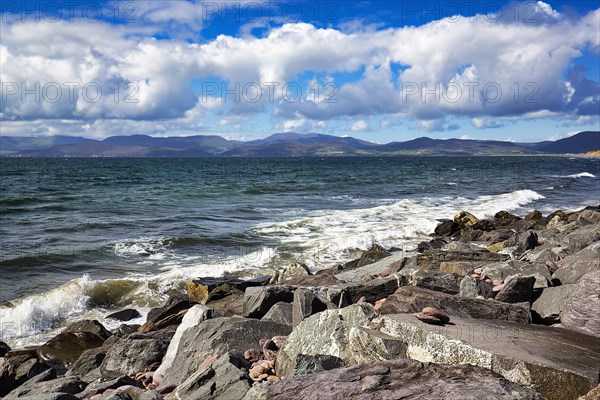 Rocky coast on the Atlantic