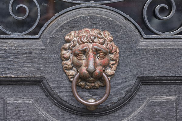 Lion's head as a door knocker on a gate from 1885