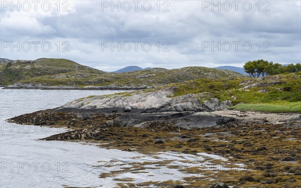 Landscape in fjord