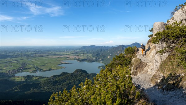 Hiker on hiking trail