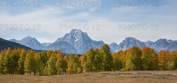 Mountain panorama of the Teton Range