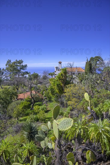 Villa with magnificent garden