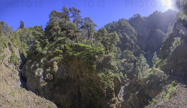 Barranco del Almendro Amargo