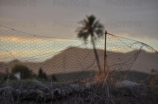 Incidence of light on wire mesh fence with mountain and palm tree