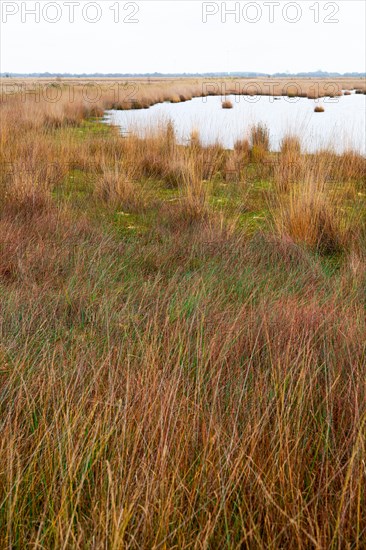 Landscape photograph Stapeler Moor