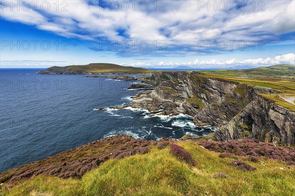 Rugged cliffs overlooking the Atlantic Ocean