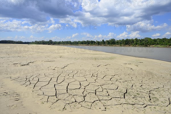 Dry sandbank at low water