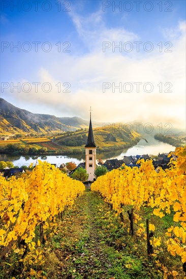 The village of Bremm on the Moselle