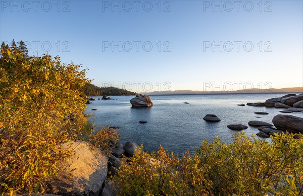 Bonsai Rock