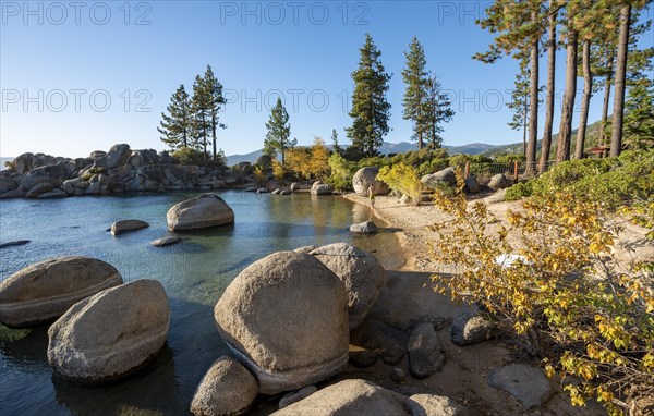 Young man in swimming trunks on sandy beach and round stones in the water