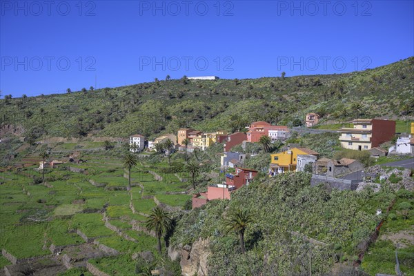 View of the village