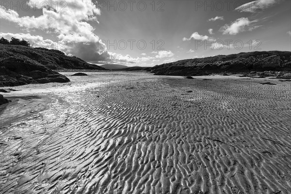 Ripples in the Sand