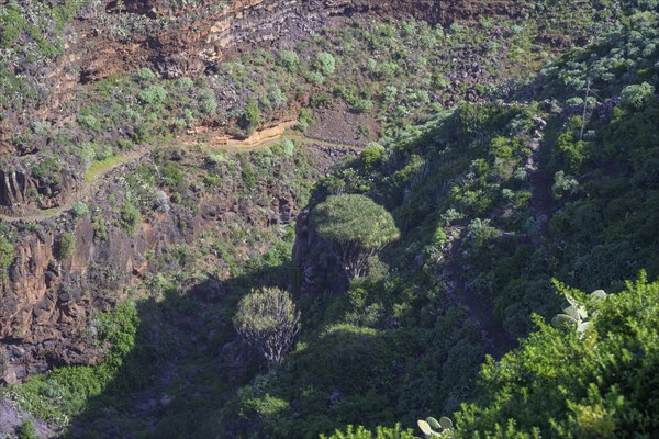 View from Mirador El Chorro